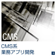 CMS系業務アプリ開発